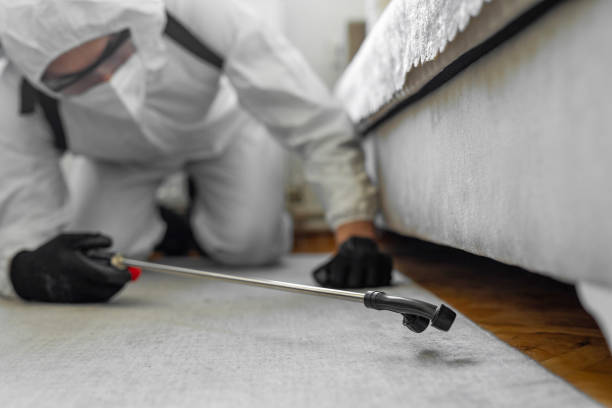 Professional Bed Bug Control technician working in Bridgewater Center, NJ